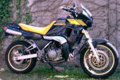 1988 Yamaha TDR 250 photo